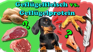 Highest Protein Foods In The World  Comparison [upl. by Refotsirc]