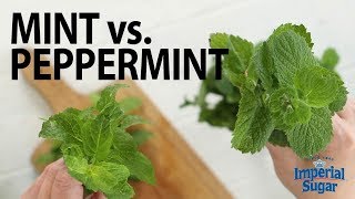 The Difference Between Mint amp Peppermint [upl. by Mecke]