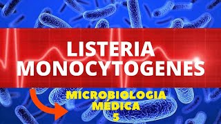 LISTERIA MONOCYTOGENES  MICROBIOLOGIA MÉDICA 5 [upl. by Norword]