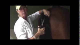 How to trim your horses tail by Dressage Hub [upl. by Anima]