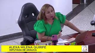 LOS ARAUCANOS NO TENEMOS NADA QUE AGRADECERLES A EMPRESAS PETROLERAS QUE GARANTIZARÁN LA ENERGÍA [upl. by Amzu]