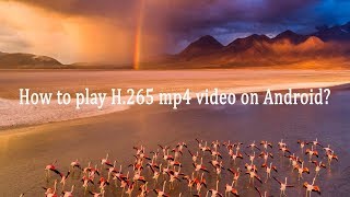 How to play H265 mp4 video on Android [upl. by Lorenza]