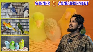 New birds arrive by Ahmed 98208 97467Giveaway winner ✨ Annusment birdlovers pets [upl. by Weston208]