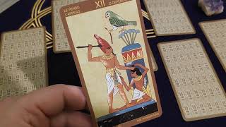 ♐😲🔮❤sagitario horoscopo 2024 tarot ¡SORPRESA [upl. by Hey]