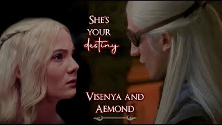 Aemond and Visenya  shes your destiny hes your destiny [upl. by Eckart]