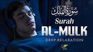 Surah Al Mulk  سورة الملك ✦ A Recitation That Touches The Heart ✦ NOOR [upl. by Allevon338]