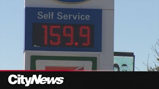 Edmonton drivers react to higher fuel prices [upl. by Nelda148]