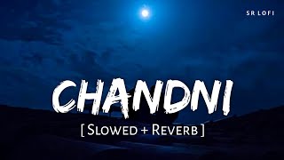 Chandni Slowed  Reverb  Sachet Tandon Parampara Tandon  SR Lofi [upl. by Betthezul]