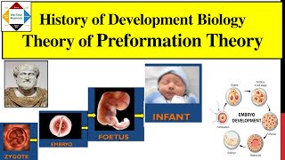 History of Embryology  Preformation Theory  Encasement Theory  Spermist Theory  Ovulist  Ovist [upl. by Fairley]