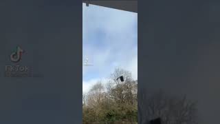 Another Wheelie Bin Flying  Storm Eunice UK [upl. by Rooke609]