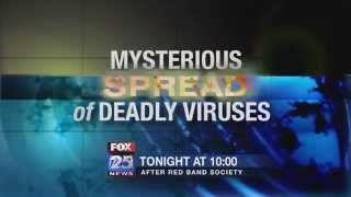 Deadly viruses How do they spread around the world [upl. by Yuu]