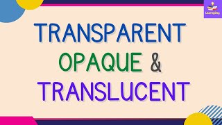 Transparent  Opaque amp Translucent Objects  Examples  Class 6 [upl. by Kittie]