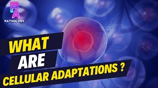 What Are Cellular Adaptations By Dr Aditi Kumar MD Pathology [upl. by Olsson]