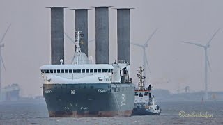 7 BFT Einlauf EShip 1 amp tug Rotorschiff Flettner rotorsails Eship DGFN2 IMO 9417141 Emden [upl. by Ahseiyn]