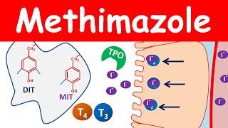 Methimazole 5 mg tablets for thyroid [upl. by Nauj69]