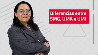 Diferencias entre SMG UMA y UMI [upl. by Jorge100]