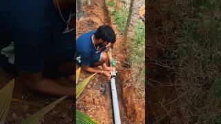 50 Cent land Drip irrigation system setup பாக்கு தோப்பில் அமைத்த சொட்டு நீர் பாசனம் முறை [upl. by Wurtz]