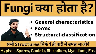 Fungi  Characteristics structure classification Types  Mycology Microbiology [upl. by Beitz463]