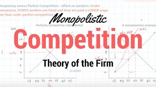 Monopolistic Competition [upl. by Kolnos]