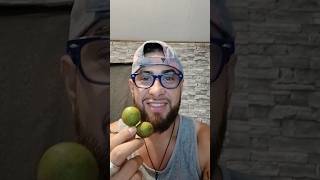 My Last Quenepas From Puerto Rico [upl. by Evadnee]