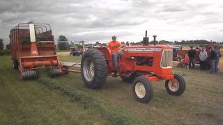 2013 Orange Spectacular D19 Gas Chopping Clover [upl. by Gaspard]