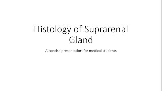 Adrenal Gland  Suprarenal Gland  Histology [upl. by Nahtannhoj]