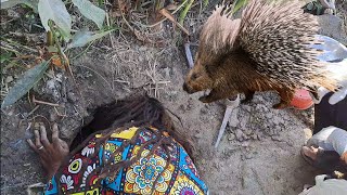 Dumsi Samaudai Kathmandu Ma  Hunting Porcupine in Kathmandu [upl. by Eynahpets]