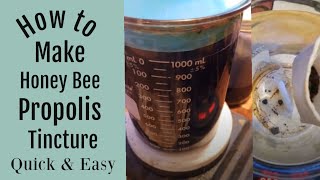 How to Make a Bee Propolis Tincture Quick and Easy [upl. by Dietrich502]