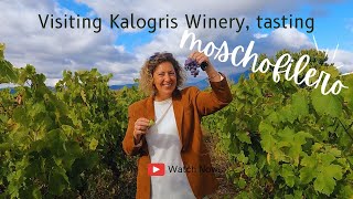 Visiting Kalogri Winery  Wine Tasting Moschofilero [upl. by Kubetz]