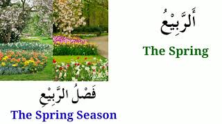 Seasons in Arabic Learn the seasons of the year in Arabicفصول السنة باللغة العربية [upl. by Chesnut50]