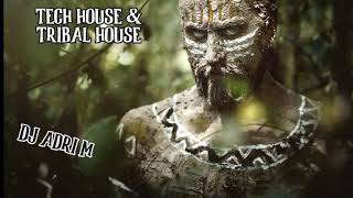 Tech House amp Tribal House Mix  DJ ADRI M [upl. by Ehman]