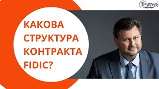 Какова структура контракта FIDIC [upl. by Eyssej]