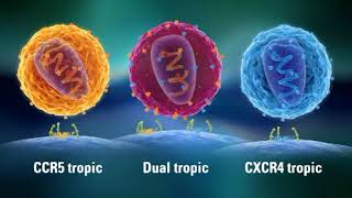 Resistance HIV amp AIDS  CCR5 amp CXCR4 Eng CCR5delta32  CCR5 tropic Dual tropic CXCR4 tropic [upl. by Jotham]