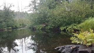 Algonquin Park somewhere along the Petawawa River [upl. by Yentyrb405]