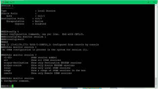 Cisco Switch Port Mirroring  Monitor Port Setup [upl. by Nnalorac]