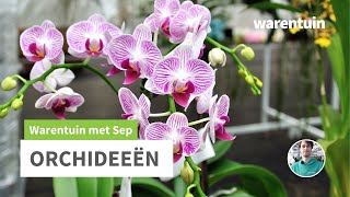 Alles over Orchideeën [upl. by Bryan12]