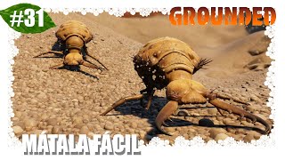 Grounded 31 🪲🐞 MATAR A LA HORMIGA LEÓN 🐜🦗 OTRA FORMA SÚPER FÁCIL Y SIN RIESGO [upl. by Lourdes789]