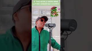 IF THIS WORLD WERE MINE  LUTHER VANDROSS  live COVER [upl. by Bozuwa]