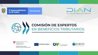 Informe de la Comisión de Expertos en Beneficios Tributarios [upl. by Sutphin]