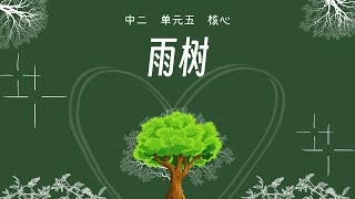 新加坡 华文 中二 单元五 《雨树》Secondary 2 G3 Chinese Vocabulary Chapter 52 Monkey Pod Tree [upl. by Coulter]