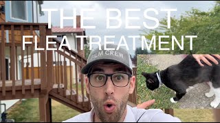 ★★★★★ Review of Seresto Flea and Tick Collar for Cats 8Month Flea and Tick Collar for Cats [upl. by Warenne]