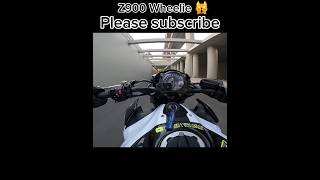 Z900 Wheelie 🙀 bikelover trending viral support subscribe uk07rider shorts short [upl. by Alicea]