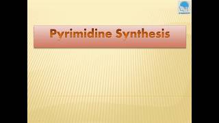 Pyrimidine Synthesis memorize within 1 min [upl. by Skiba389]