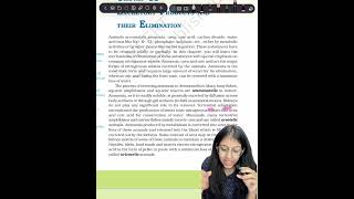 EXCRETORY SYSTEM excretorysystem biology neet2024 ncertbiology neethumanphysiology [upl. by Lourie421]