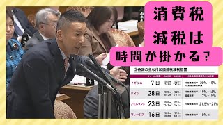 山本太郎の国会質疑【消費税減税は時間が掛かる？】N れいわ新選組 切り抜き動画 山本太郎 れいわ れいわ新選組 消費税 能登半島 [upl. by Rivard123]