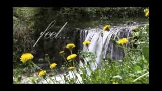 Meditation Relax Club Youtube Channel Trailer with Relaxing Music and Nature Sounds [upl. by Esyla]