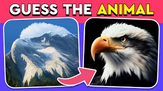 Guess the Hidden Animal by ILLUSION 🐶🐵🐈 Easy Medium Hard levels Quiz [upl. by Anelam676]