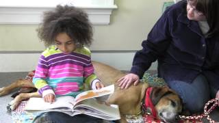 Tail Waggin Tutors  Therapy Dogs International [upl. by Allesor]