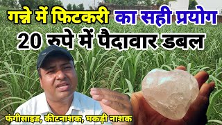 गन्ने में फिटकरी का सही प्रयोग। kheti Mein fitkari ka istemal kaise karen [upl. by Gut]