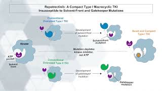 Macrocyclic TKIs in TreatmentNaïve and Pretreated FusionPositive NSCLC and Other Tumors [upl. by Nagirrek]